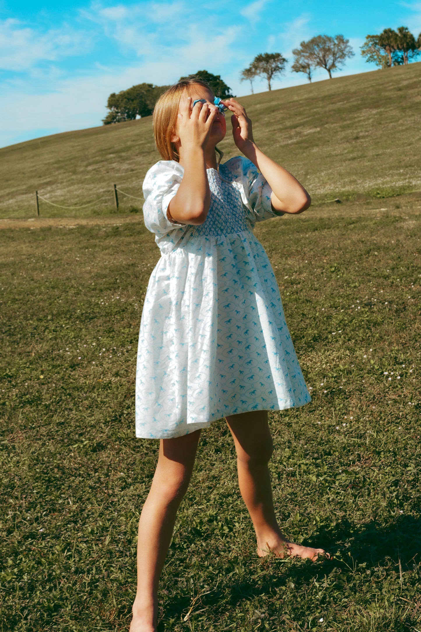 Pony Dress (3/4 sleeves)