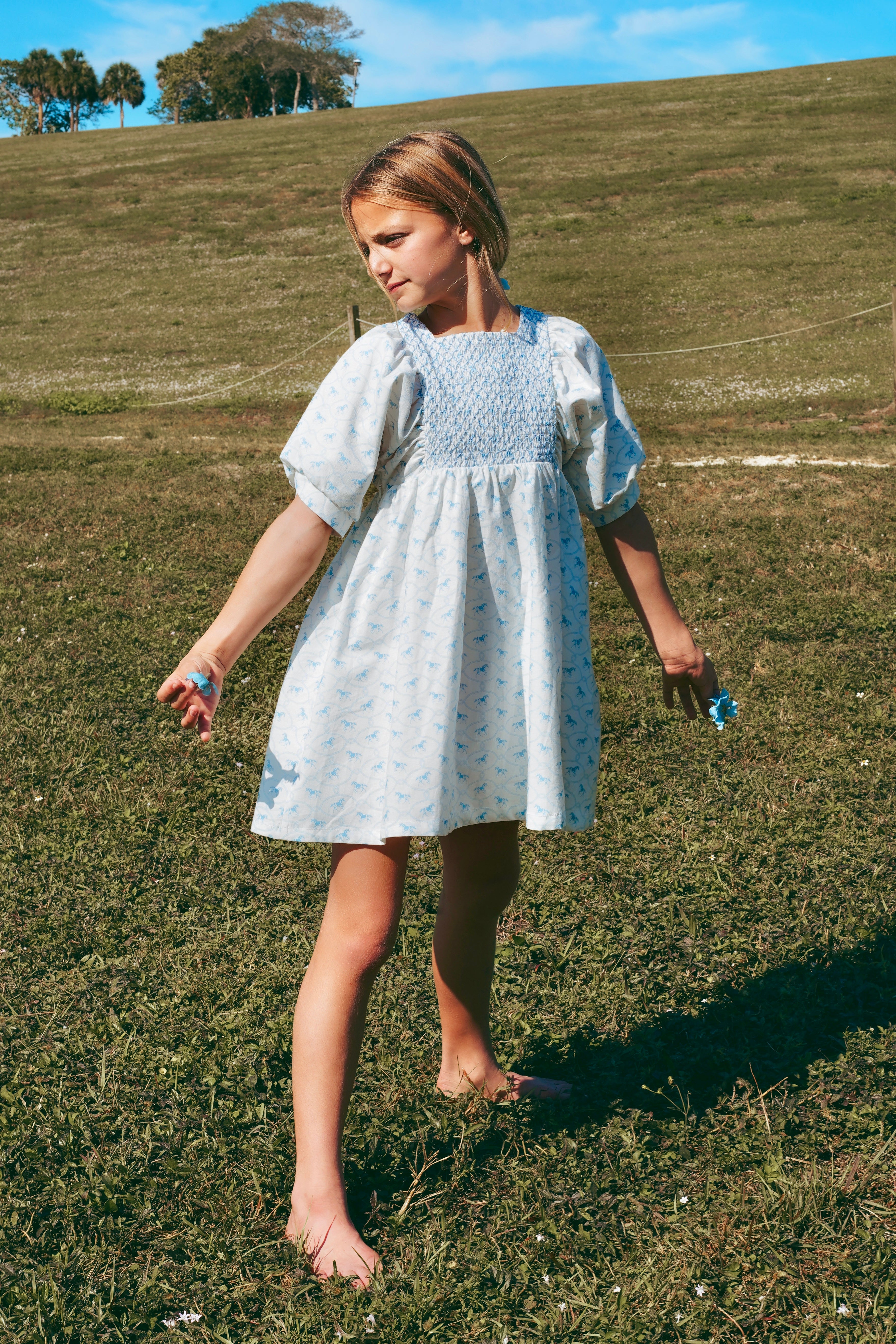 Pony Dress (3/4 sleeves)