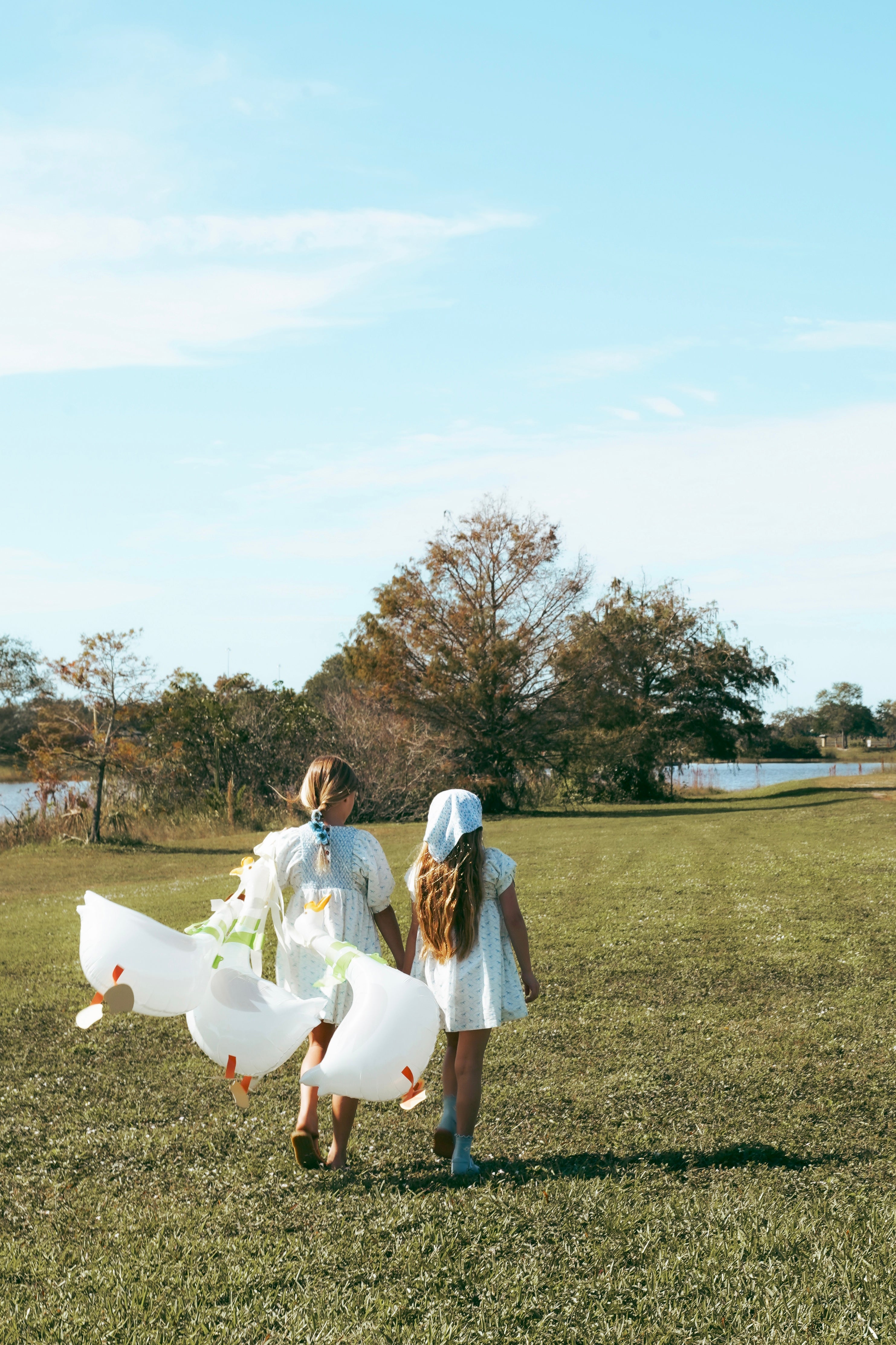 Pony Dress (3/4 sleeves)